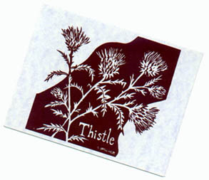 Picture of Thistle print note card