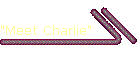 "Meet Charlie"